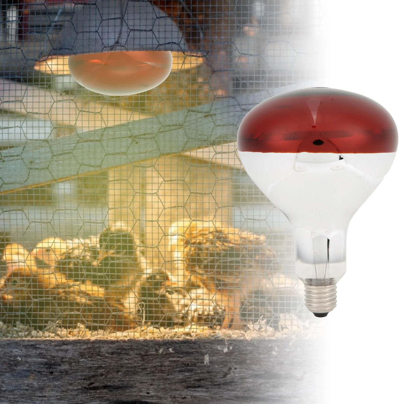 Chicks Heat Lamp Bulb Infrared Basking Spot Heat Reptile Lamp Red Bulb for Brooder 220V / 250W