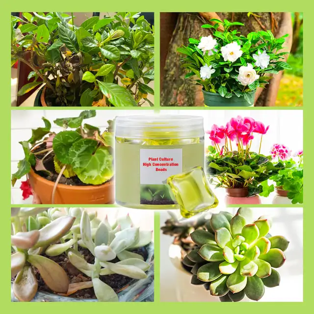 Növénytenyészet Tápanyag Folyékony Növényi Növekedés Magas Koncentrációjú Műtrágya Univerzális Vitalitású Elem Virágok Zöldséghez - Image 6