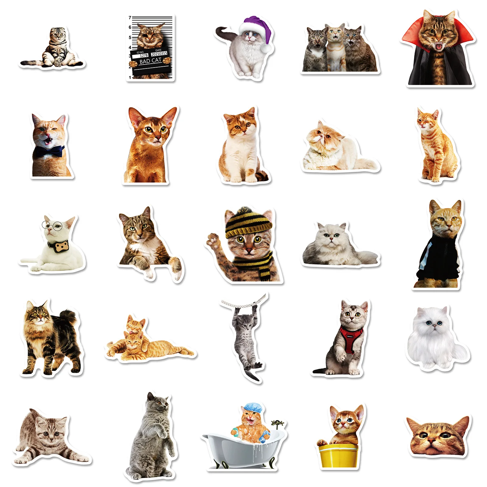 50Pcs Funny Cat Stickers - Wholesale Stickers
