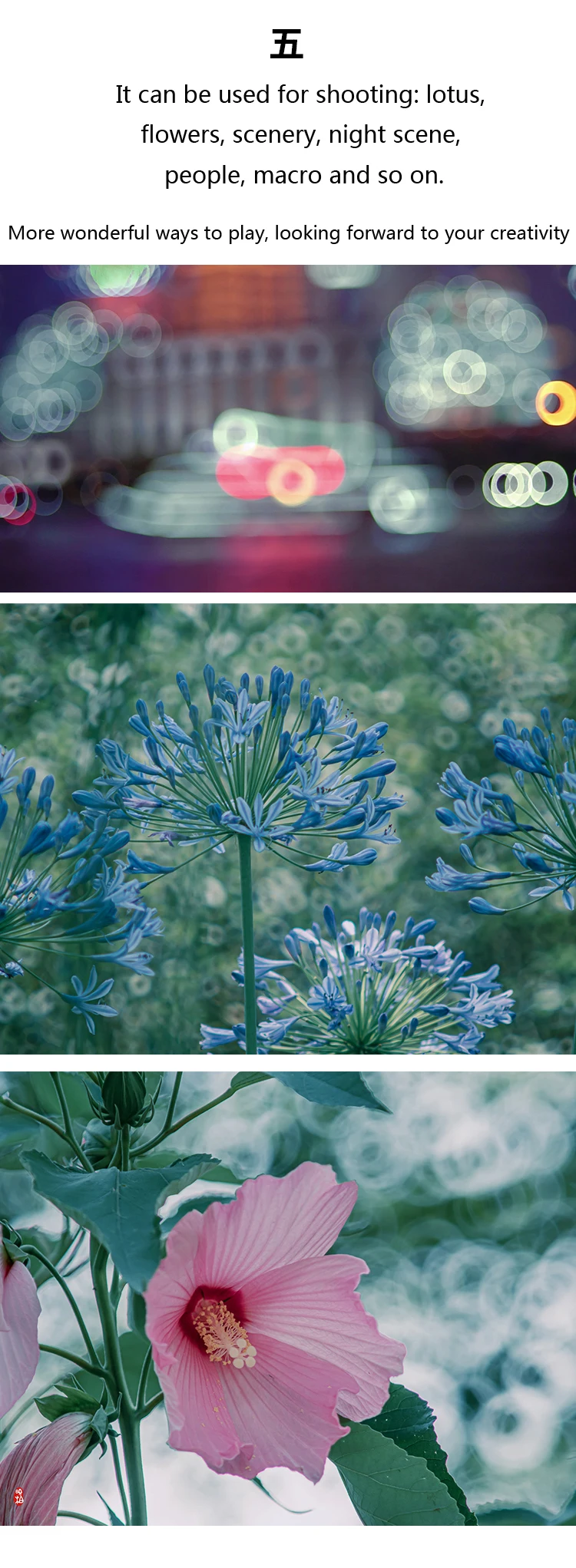 lentes e acessórios