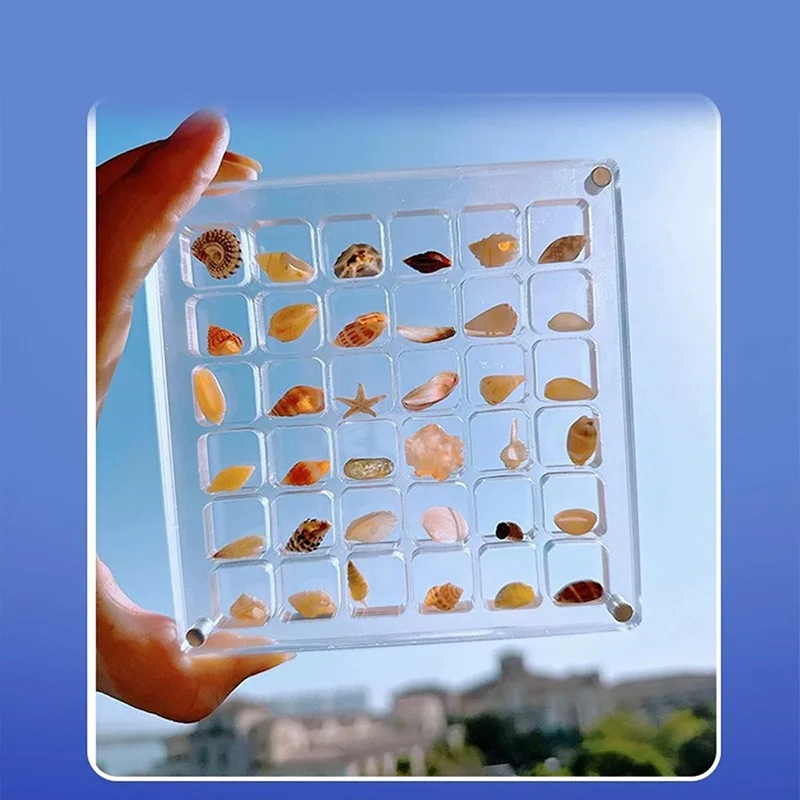 Shell Organizer Acrylic Transparent Seaside Shell Square Small Objects Display Organizer 1PC