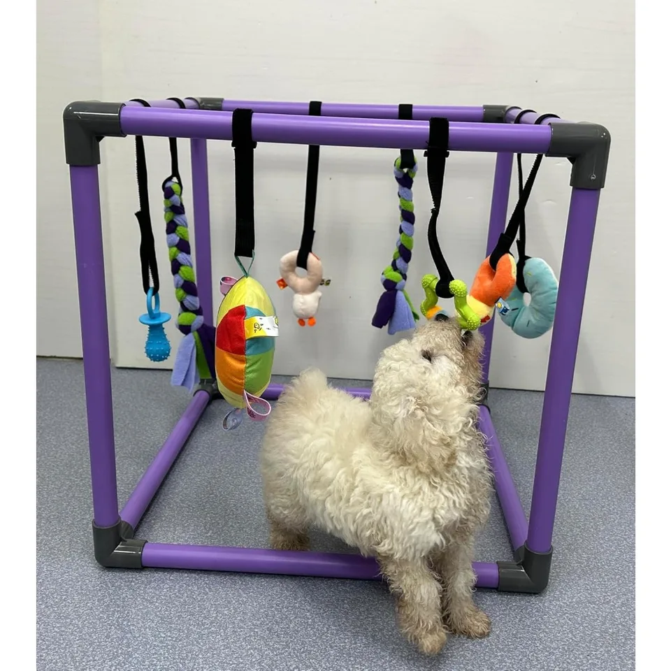 Interactive Puppy Play Gym with 8 Fun Toys