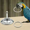 Bird Parrots Interactive Training Toys Intelligence Development Stacking Metal Ring Training Sets Birds Supplies Pet Accessories 4