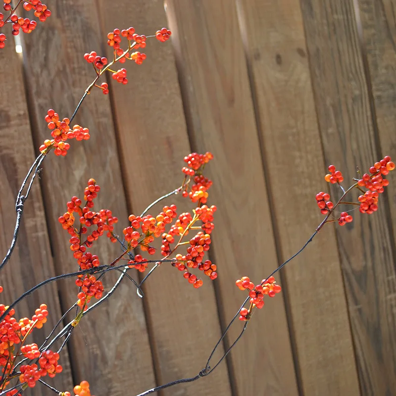 DSC_9185 拷贝.jpg