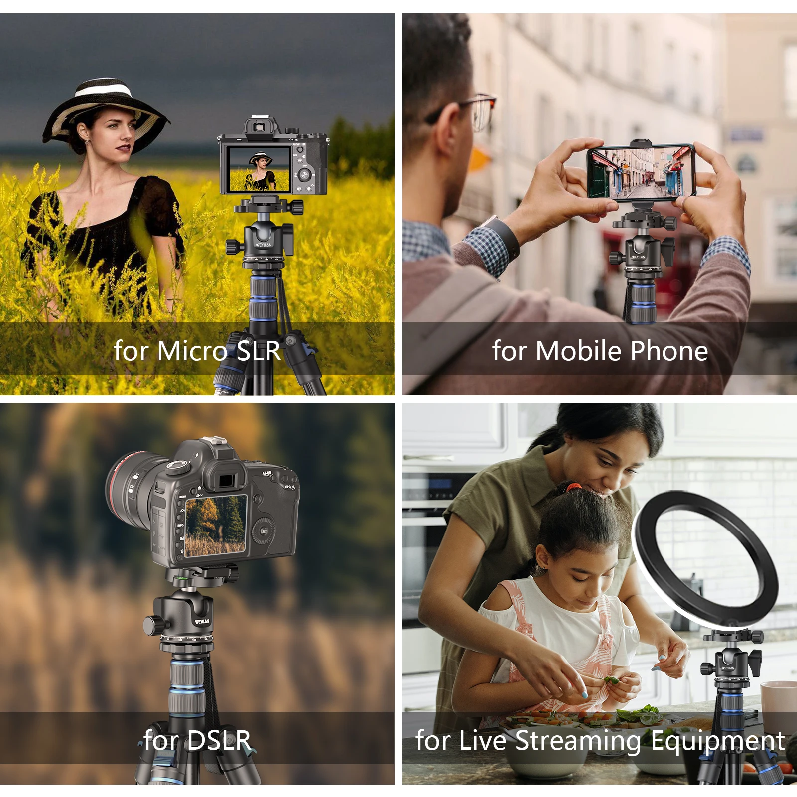 Weyllan EH36 Tripod Ball Head Low Profile Tripod Head Metal Lower Gravity Center Design Smooth Operation Max Load 15kg/33lbs tripod ball head