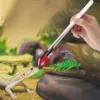 Stainless Steel Reptile Feeding Long Tongs Tweezers For Reptile, Lizards, Spider, Tarantula, Hedgehog, Snake, Aquarium