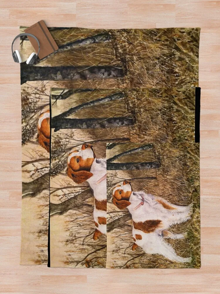 �긮Ÿ�� ���дϾ� ���ο� ���, ǫ���� ħ�� ����, ���Ÿ� ���� ���