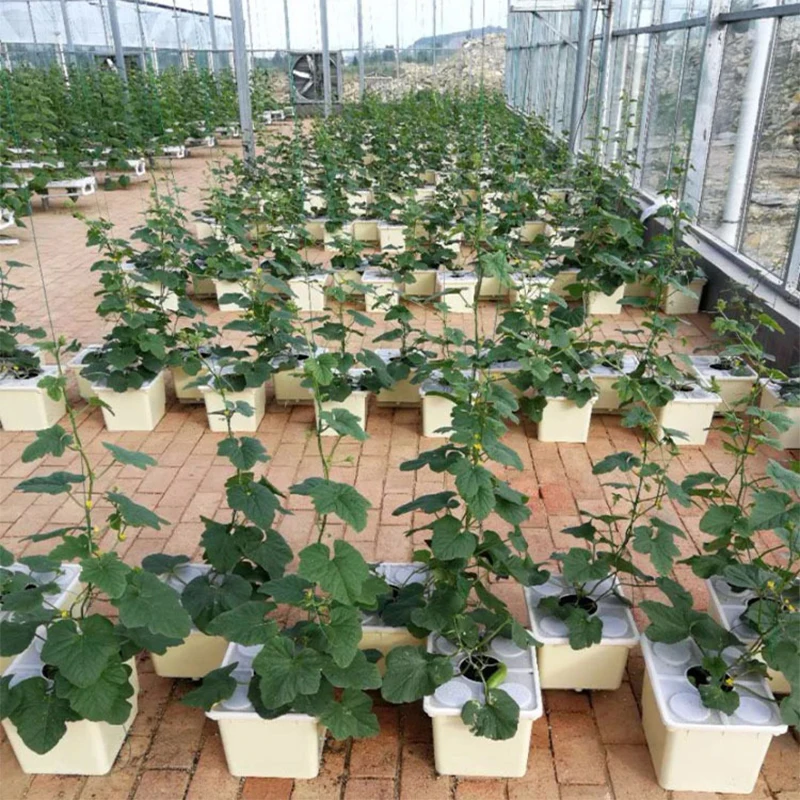 1~5Pcs Home Balcony Soilless Cultivation Equipment Indoor Plastic Dutch Barrel Greenhouse Vegetables Substrate Hydroponic System