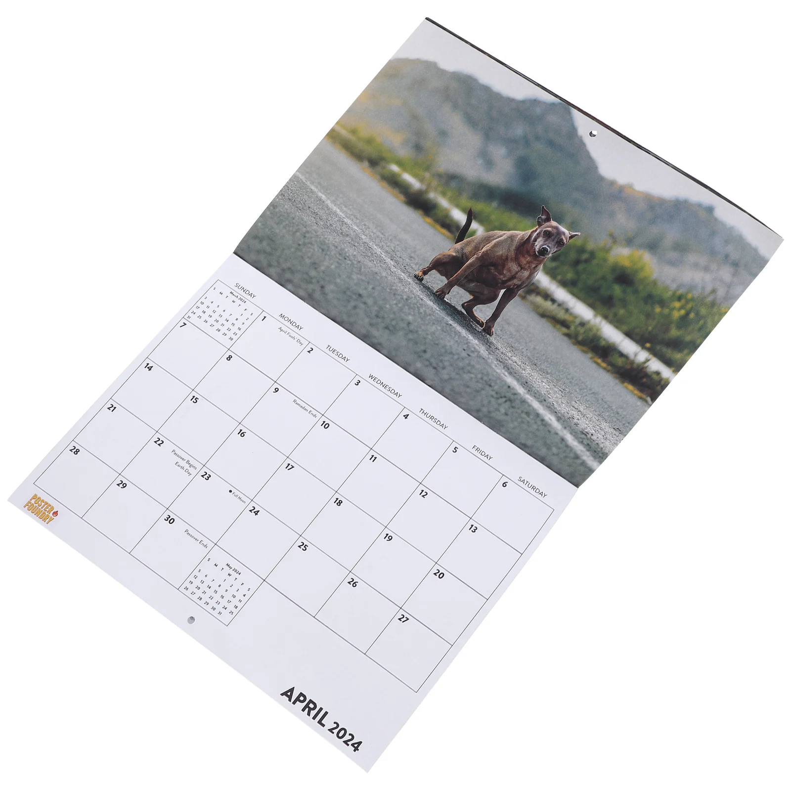 Aesthetic Calendar Small Wall Turn Page Calendars Paper Home Animal Pattern 2024 Monthly Office Pet