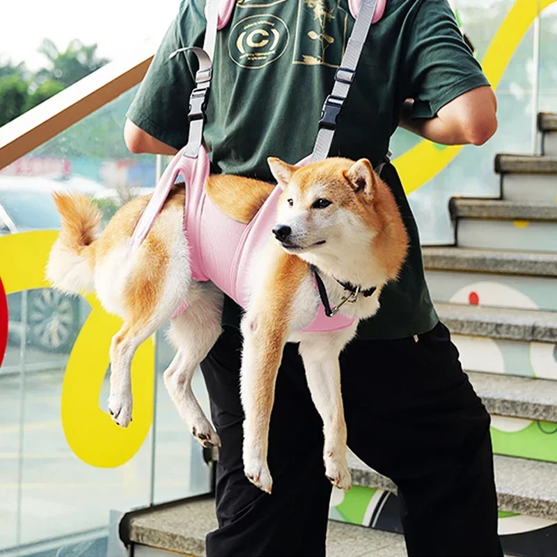 Pet Carrier Bag Pet Carrying Bag Pet Backpack Pet Supplies Dog Duffel Bag Adjustable Long and Short Dog Backpack Summer Mesh Breathable for Cat Out Travelling