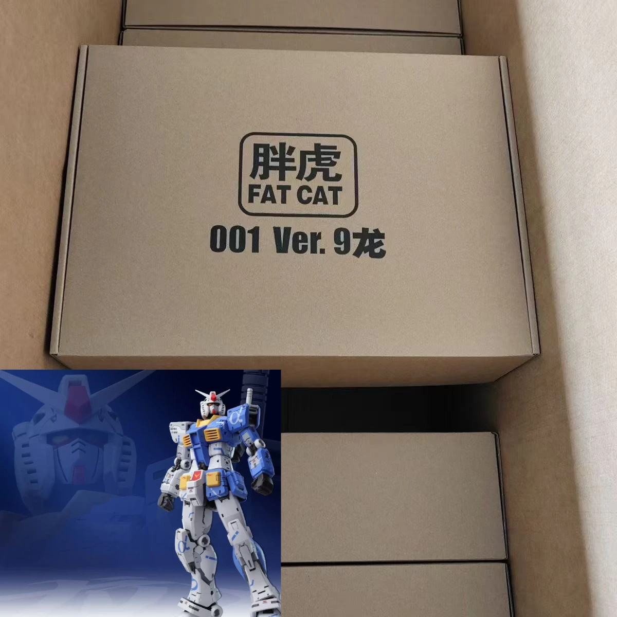 FAT CAT Model RX-78-2 Assembly Model Kit 1/100 Scale Special RG 1