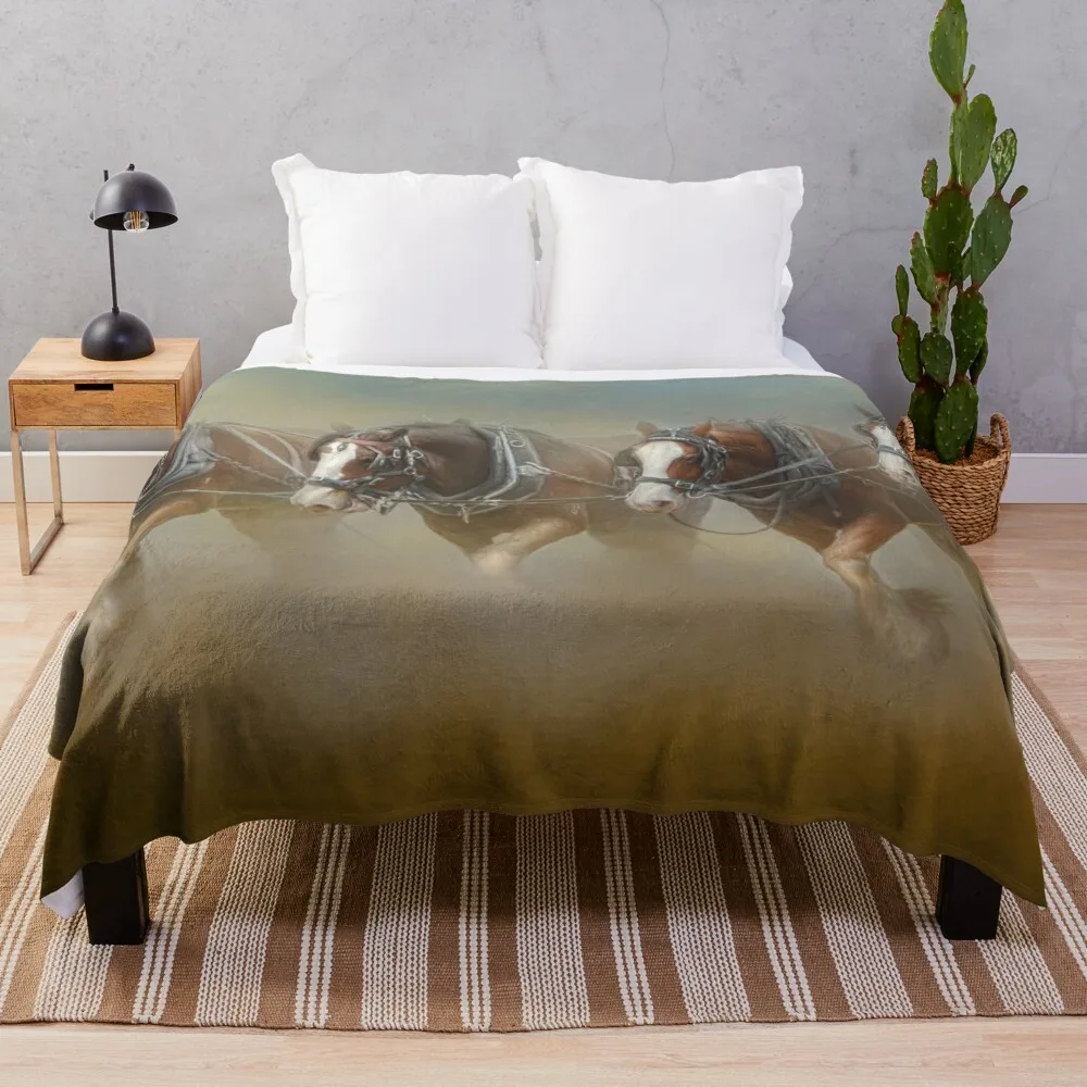 

Four Throw Blanket Hairy Blanket Designer Blankets Luxury Thicken Blanket Sofas