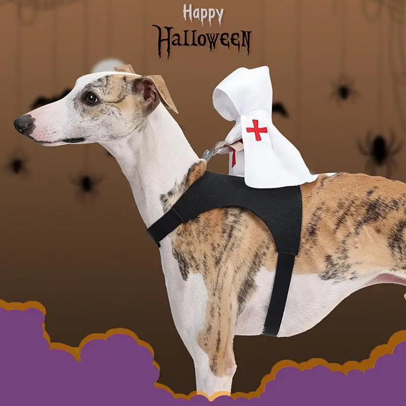 Greyhound Dragon Costume Dragon Greyhound Halloween Costumes