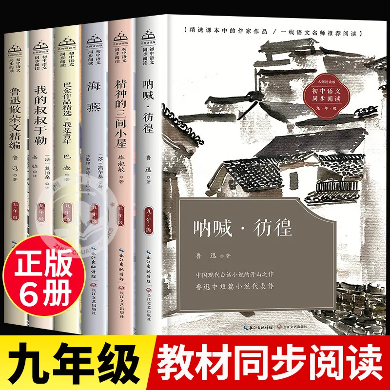 9th Grade Extracurricular Reading Books, 