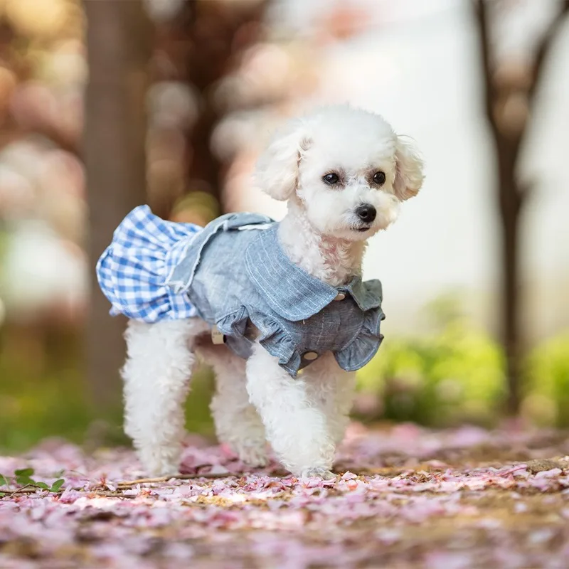 애완 동물 달콤한 카우보이 드레스 봄 여름 얇은 통기성 소형 및 중형견 공주 웨딩 드레스 강아지 옷