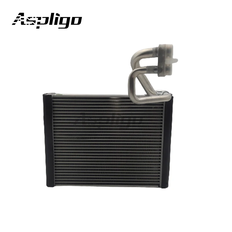 Treeligo Car Automotive Air Conditioner Evaporator Automobike Ac