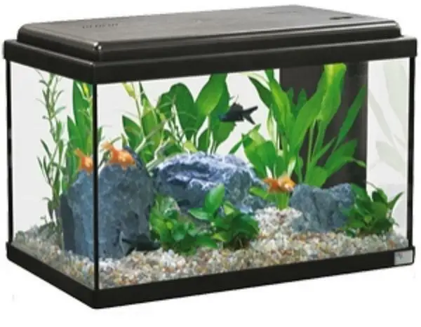 pols tarwe Gaan Aquatlantis Aquarium Advance Led 50 Black - Fish Food - AliExpress