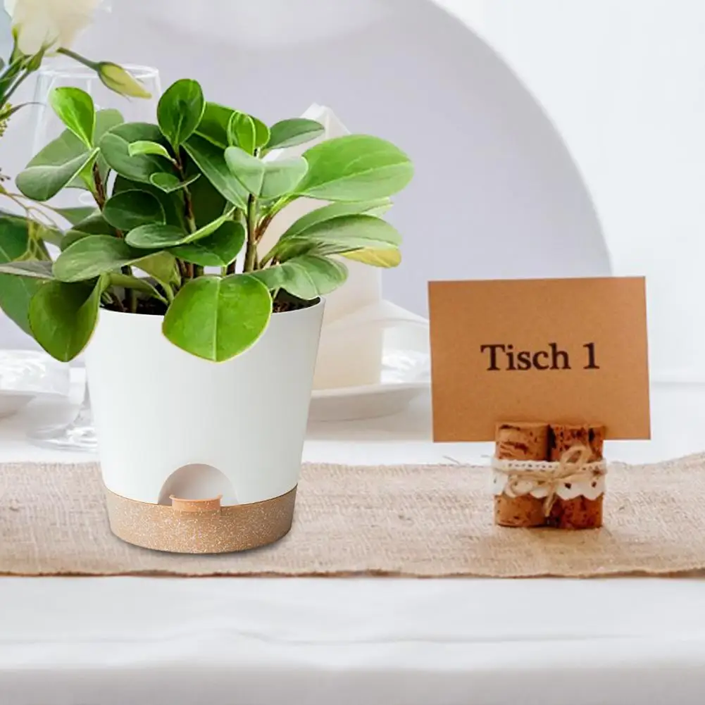Self Watering Flower Pot 5