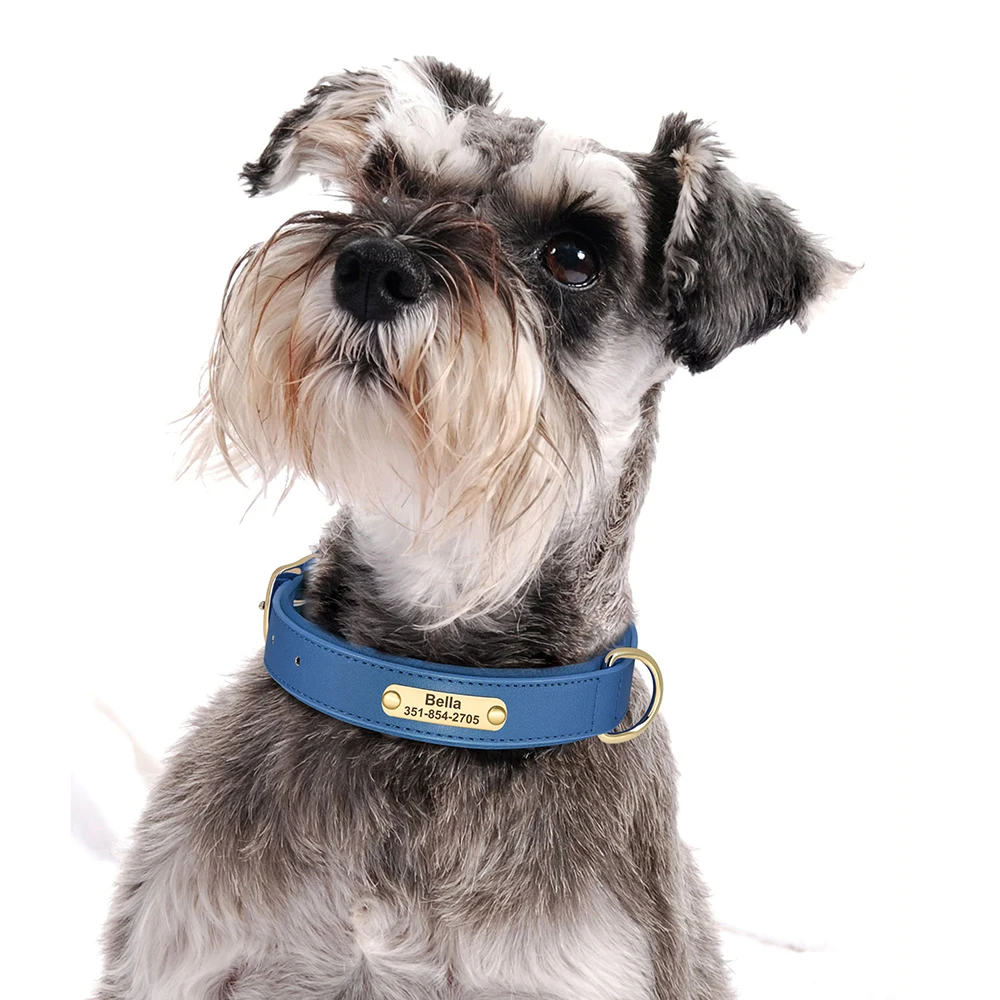 Dog Collar Personalized PU Leather Soft Padded Free Engraved Pet ID Necklace For Small Medium Dogs