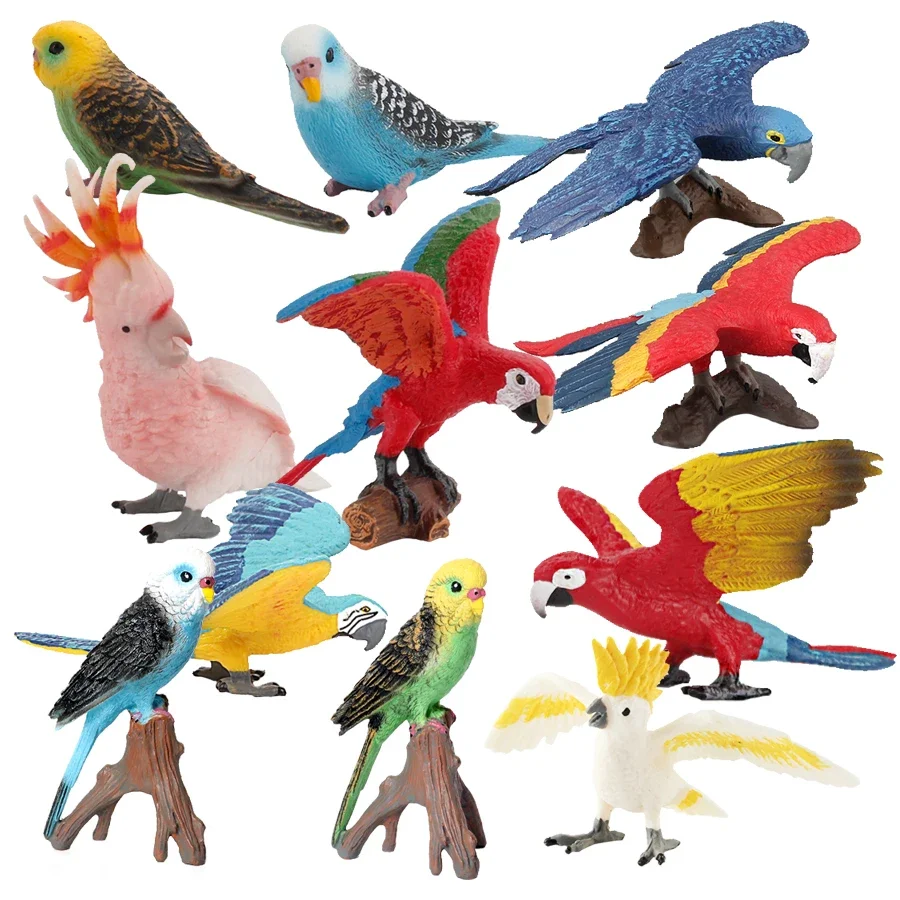 Simulation Creative Parrot Parakeet Miniature Wild Animal Figurine Artificial Bird Action Figures Educational Toy for Kids Gift