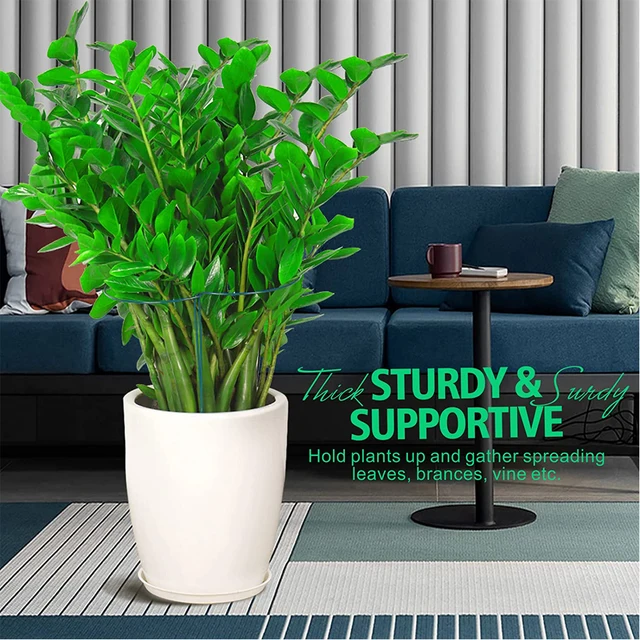 10 Pack Plant Stakes Fémkert Peona Támogató Növényi Tartó Gyűrű Paradicsom Rózsavirágok Szőlő Beltéri Növények - Image 6