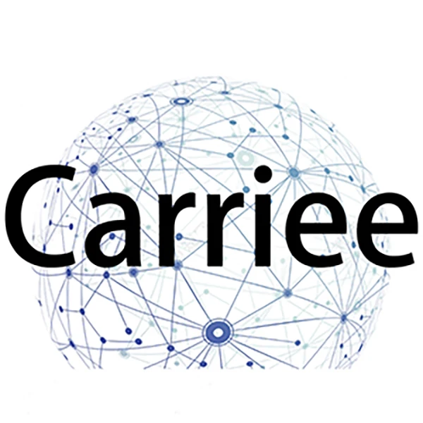 Carriee Dropshipper Store