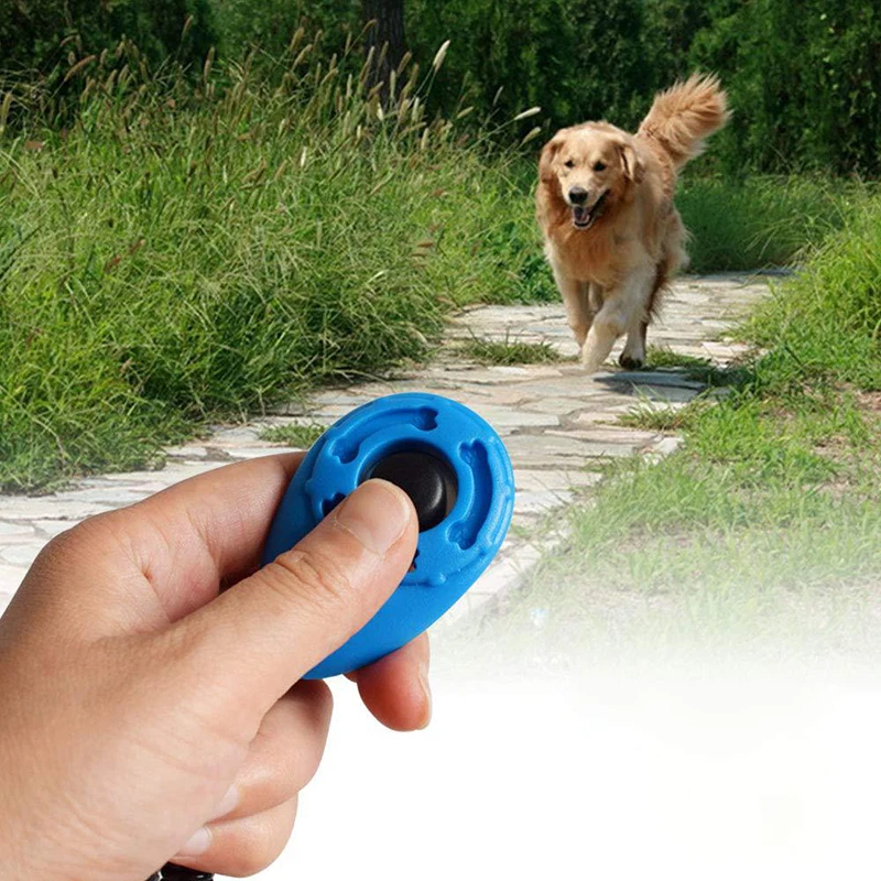 Pet Dog Clicker Training Sound Wristband Key Chain Dog Supplies