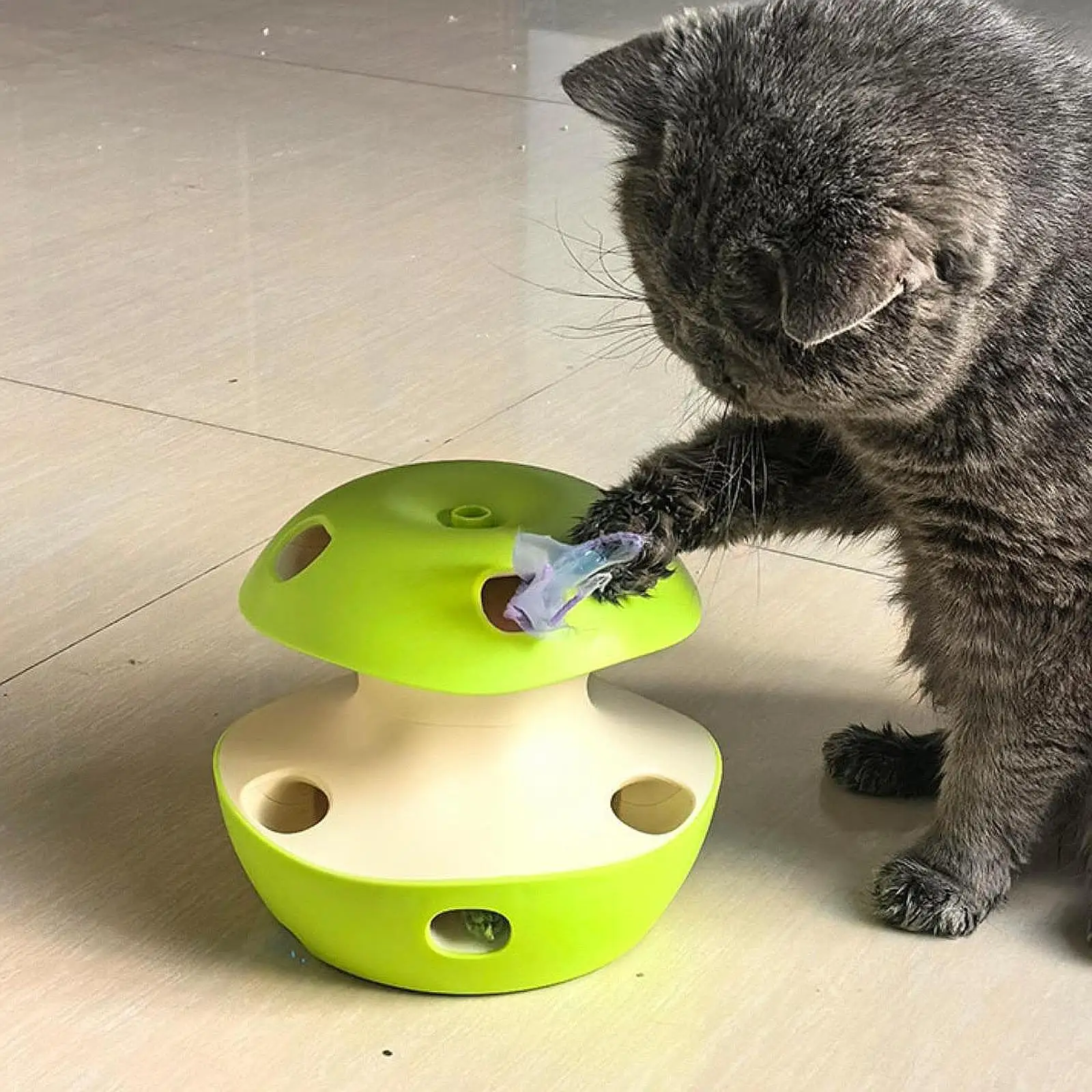 Interactive Cat Toy Educational Pet Supplies Gifts for Indoor Cats Anti Slip Funny Electronic Whack A Mole Automatic Cat Toy