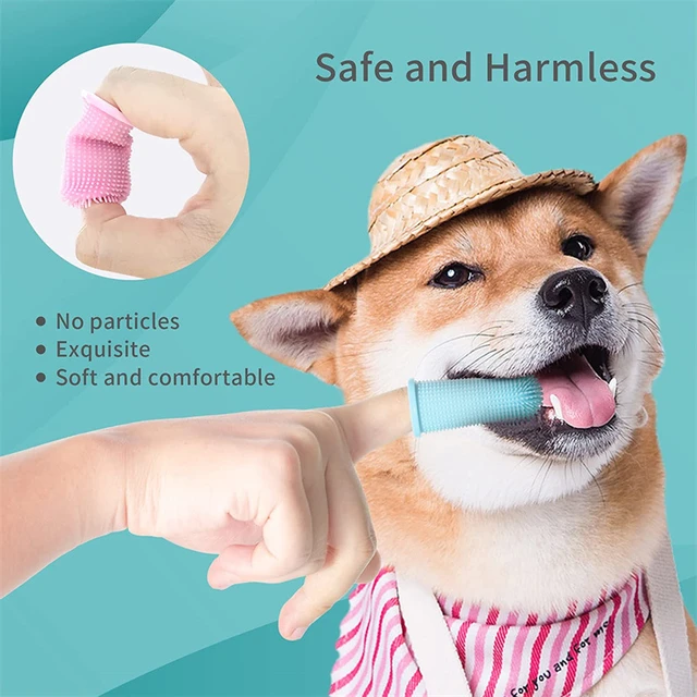 Is Silicone Toxic To Dogs