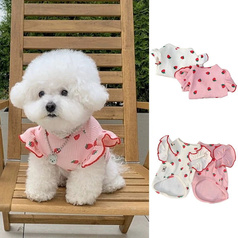 귀여운 딸기 패턴 강아지 셔츠, 고양이 부드러운 조끼, 통기성 티셔츠, 치와와 요키, 강아지 옷, 애완 동물 코스튬, 여름  Best5