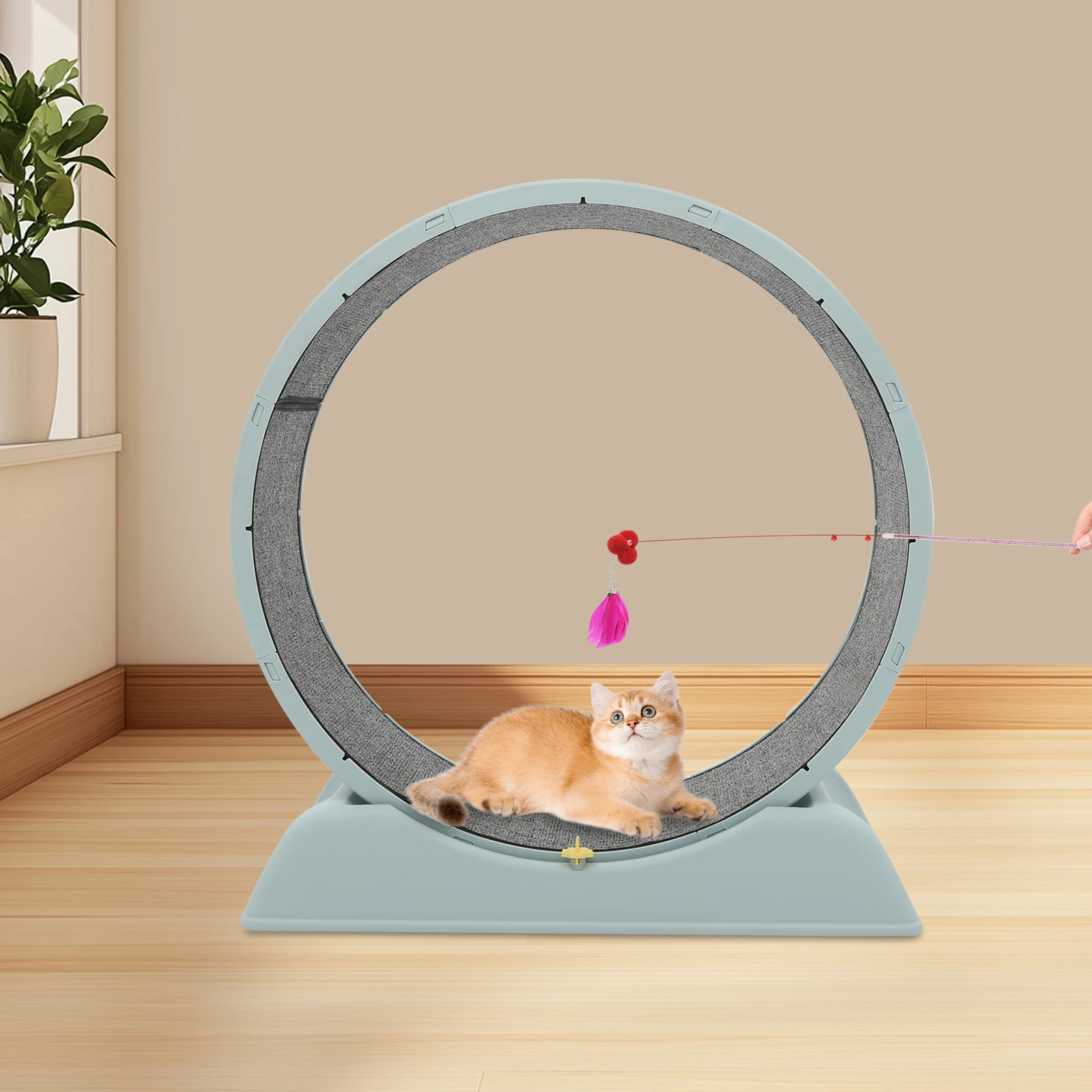 Tapis roulant per gatti, ruota per esercizi di 80 cm a casa, rulli per esercizi facili da montare per gatti e cani di piccola taglia, capacità di carico di 10 kg - immagine 2