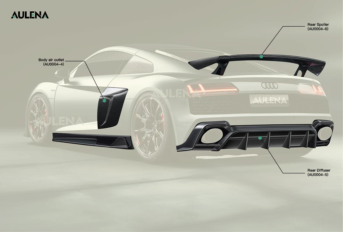 Рисунок 4 - Aulena дизайн для Audi R8 сухой