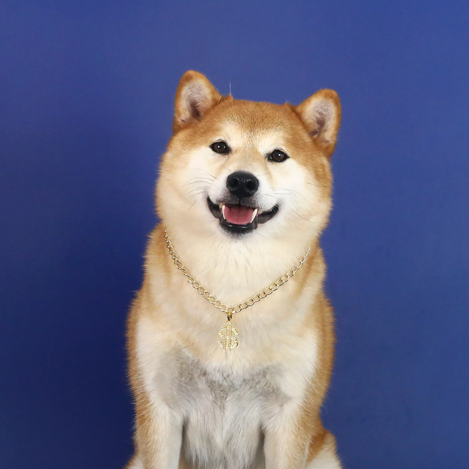 Luxury Adjustable Pet Collar Fashion Necklace