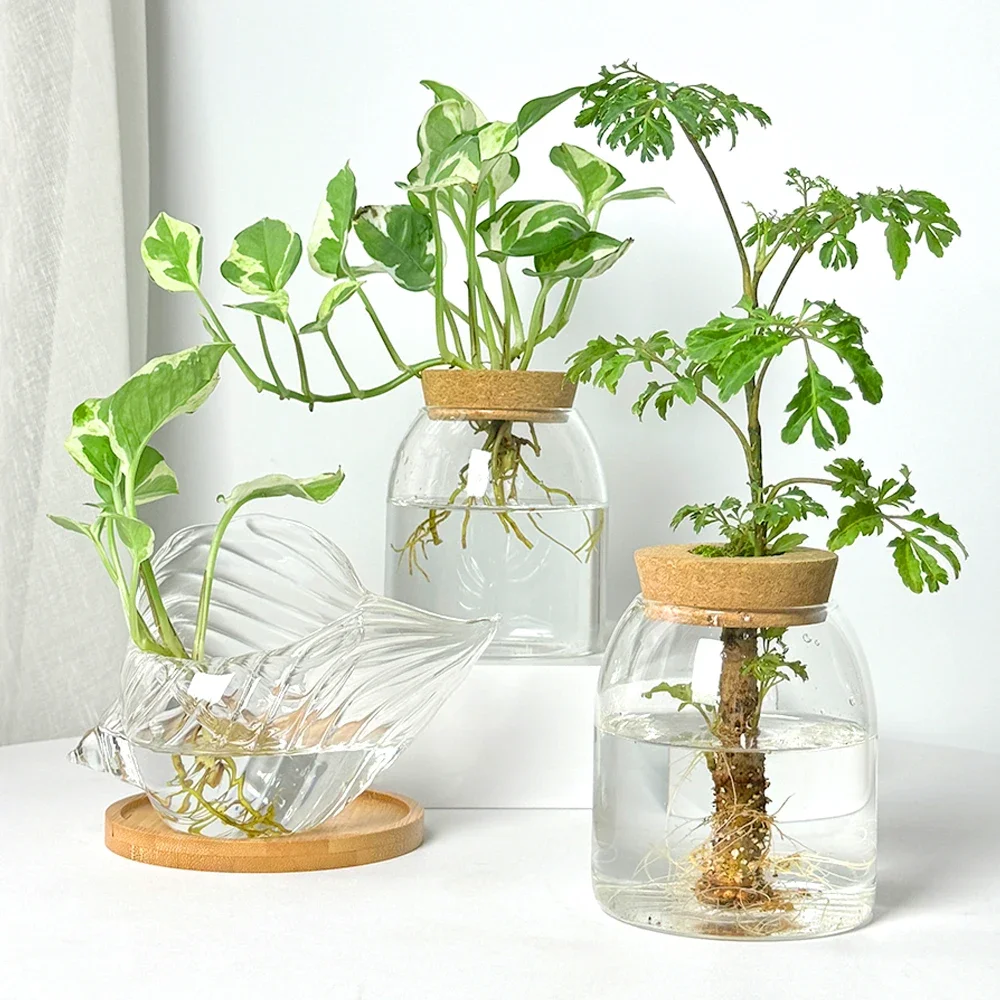 Nordic Style Glass Vase Home Decoration Hydroponic Vases Transparent Tabletop Flower Decor Ornament Hydroponic Plant Bottle Cork 2