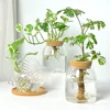Nordic Style Glass Vase Home Decoration Hydroponic Vases Transparent Tabletop Flower Decor Ornament Hydroponic Plant Bottle Cork 2