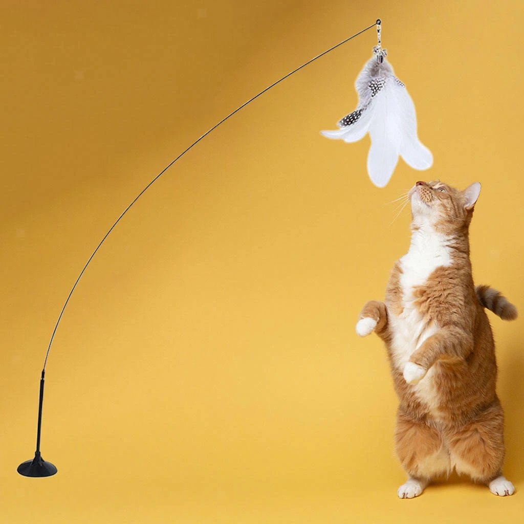 Cat Toys Interactive Toy Stick Cat Entertainment Kitten Teaser
