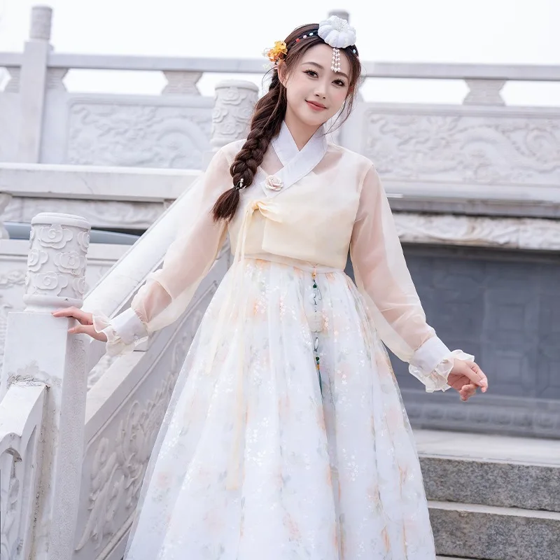 Traditional Korean Ethnic Group Yanji Hanbok Silk Dress Women's