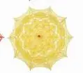 New Lace Parasol Cotton Embroidery Wedding Many Color White/Ivory Sun Umbrella Decorations 001