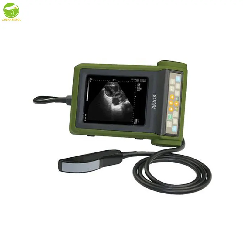 

Large Animals Veterinary Equipment Bovine Ultrasound Kaixin Rku10 Cattle Ultrasound Veterinary