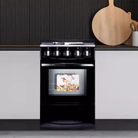 Oven Commercial Electric Multifunctional Cooktop Gas Range Baking Roast Cooking Appliances Food Processors Stove 1