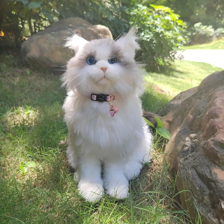 2-Pack Cotton Breakaway Cat Collars with Bell 3