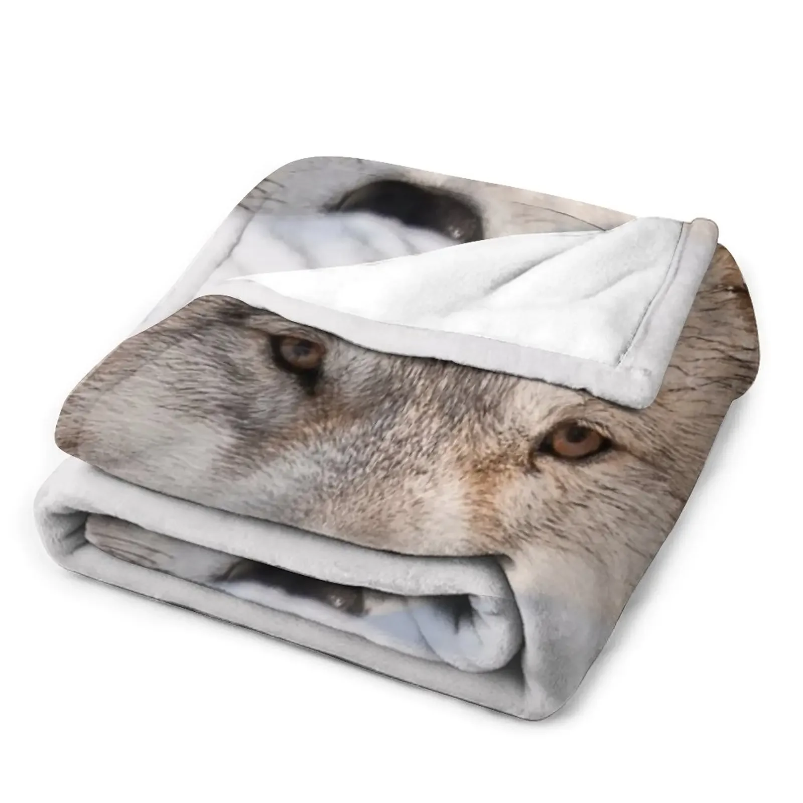 �� �ϱ� ���� ������ ���, ǫ���� ���� ���Ÿ� �귣��, ������ �ܿ� ���