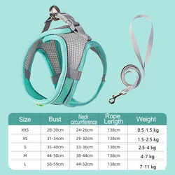 Compact & Comfy Harness for Dogs - Ideal for Small to Medium Breeds (1 - Green)