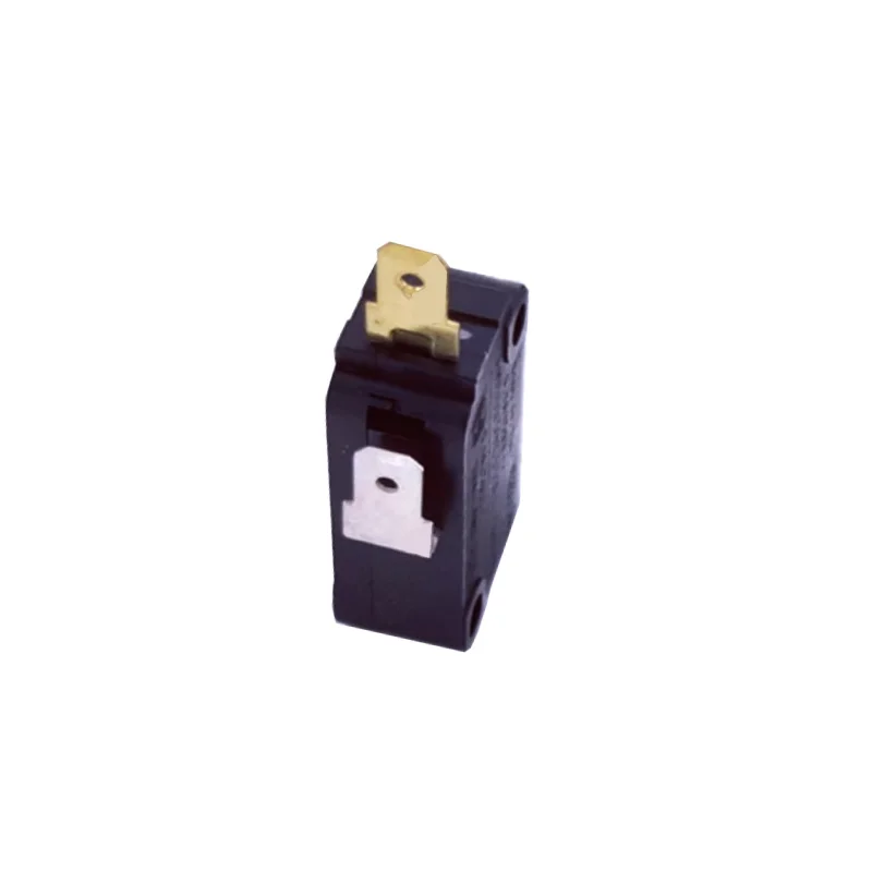 2pcs Panasonic Mirco Switch 0.1A Current Large Micro Switches No Noramally 2pin open microswitch conatact switch