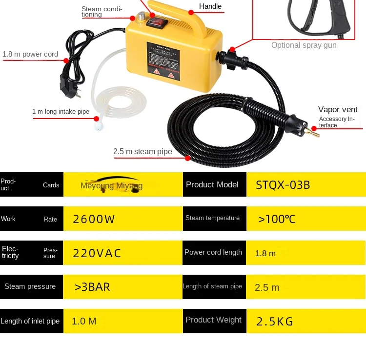 3000W 220V/110V Professional Steam Cleaner Handheld Steam Generator High Pressur
