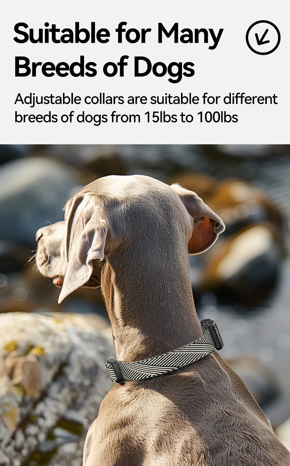 S65ca8e24fe3e4f31b723f7d7ed3ebed7r ROJECO Collier Anti Aboiement Chien Intelligent IPX7 avec Écran LED
