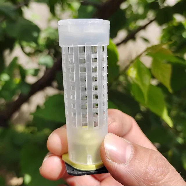 Bee Méhészeti Fogó Tenyésztés Cupkit Rendszer Méhek Ketrecek King Queen Box Cellák Ketrec Méhészet Különleges Eszközök 1 Készlet - Image 3