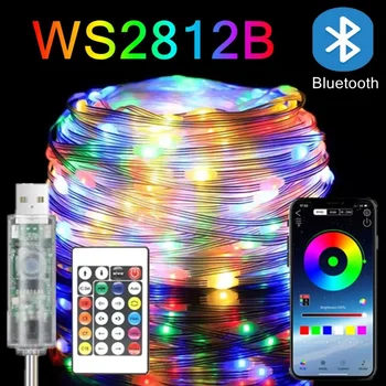 WS2812B RGBIC LED String Light RGB Fairy Christmas Lights Bluetooth USB 5V Addressable Individually Music APP Dream Color