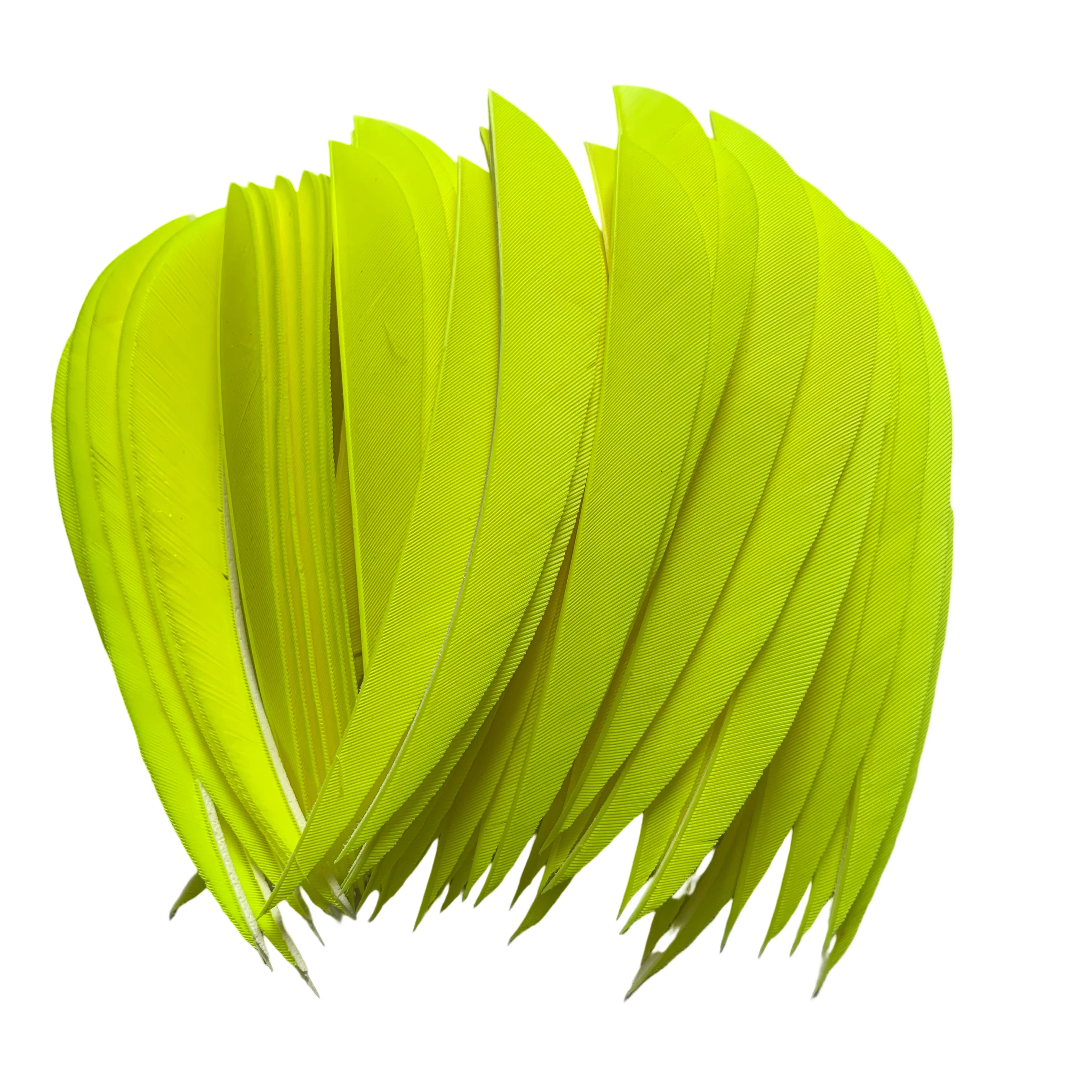 50 Pcs 5 Inch Feathers Turkey Right Wing Natural Feather Arrow Vanes Fletching Arrow Accessories Archery