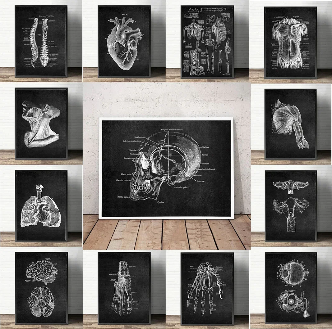 Anatomia Arte Bianco e Nero Pittura su tela medica Organo floreale Cardio Polmone Stampa di poster Educazione Ospedale Decorazioni per la casa